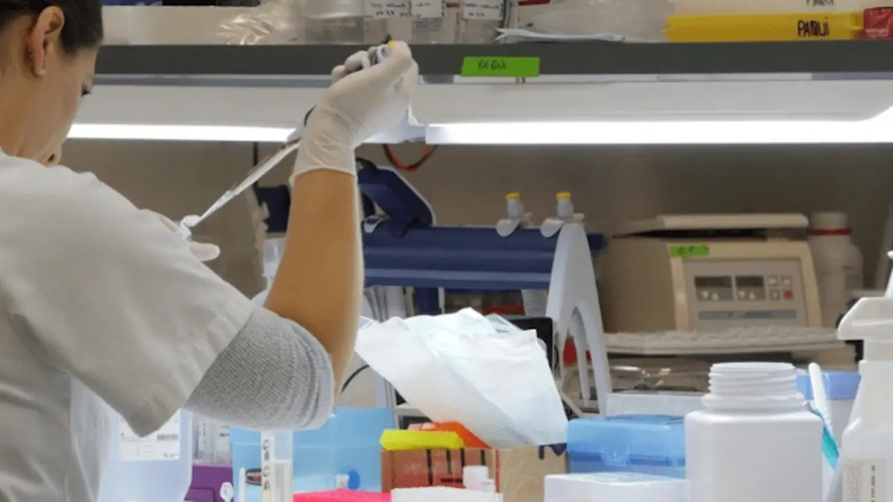 Generated by  IJG JPEG Library