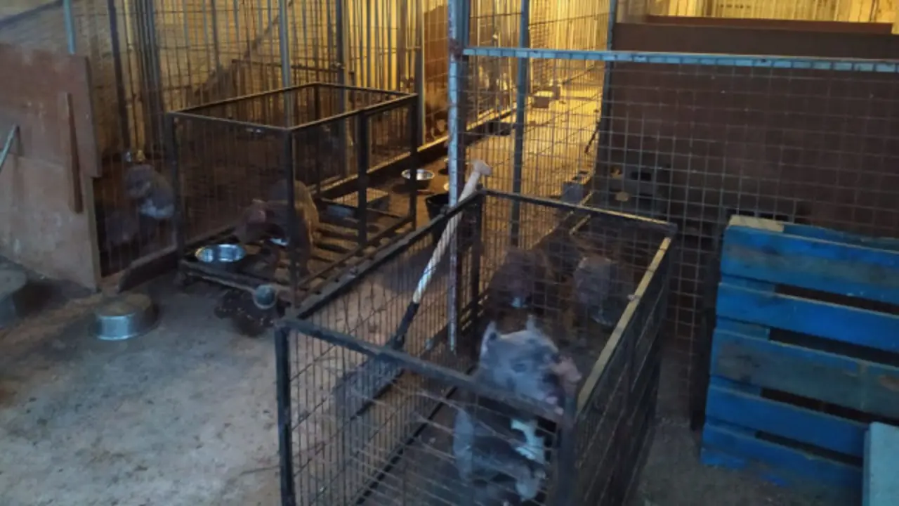 Criadero localizado. EP