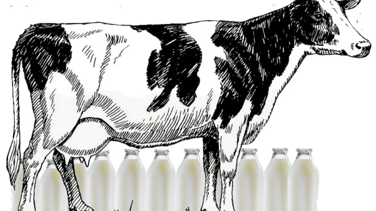 Ilustración para el blog de Rodrigo Cota. MARUXA