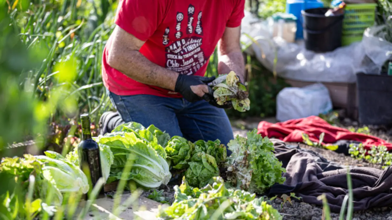 Generated by  IJG JPEG Library