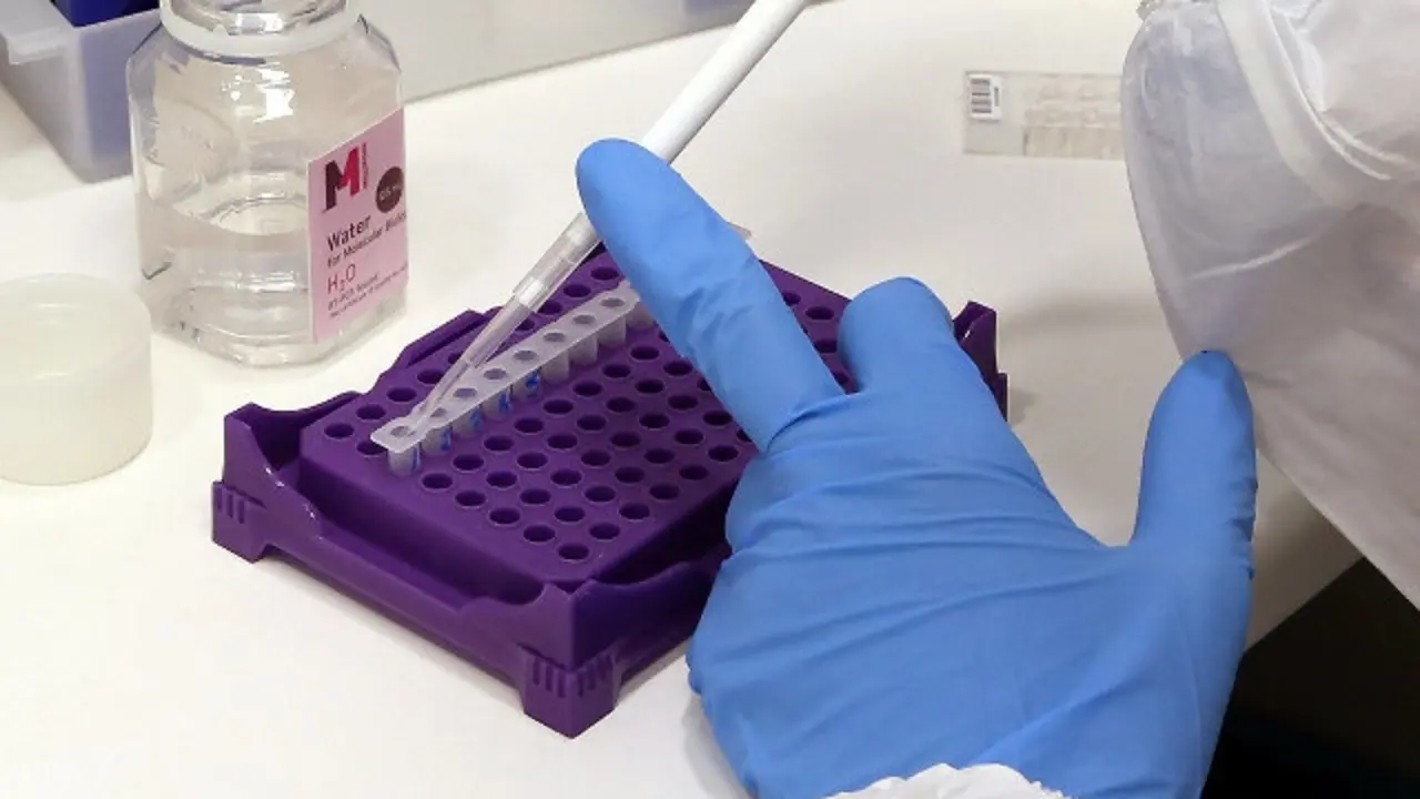 Pruebas en un laboratorio.EP