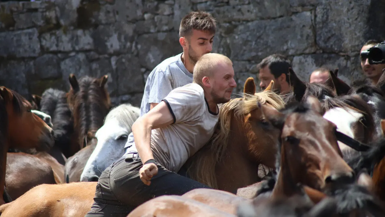 Rapa das Bestas de Sabucedo. PATRICIA FIGUEIRAS