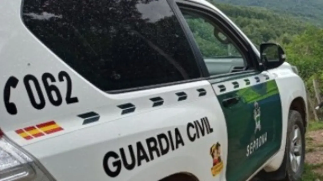 Un vehículo del Seprona. ARCHIVO