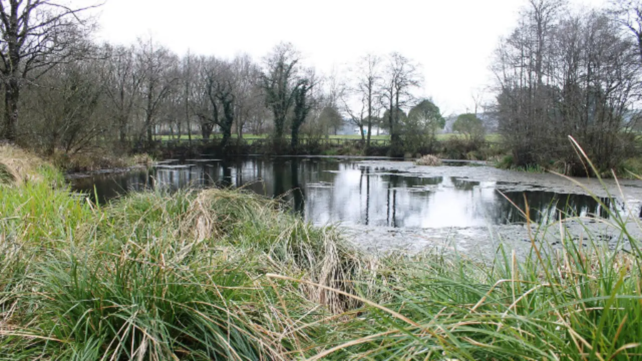 La laguna de Fonmiñá. ARCHIVO