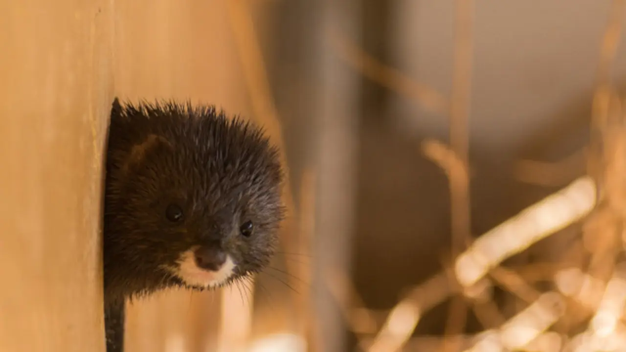 Generated by  IJG JPEG Library