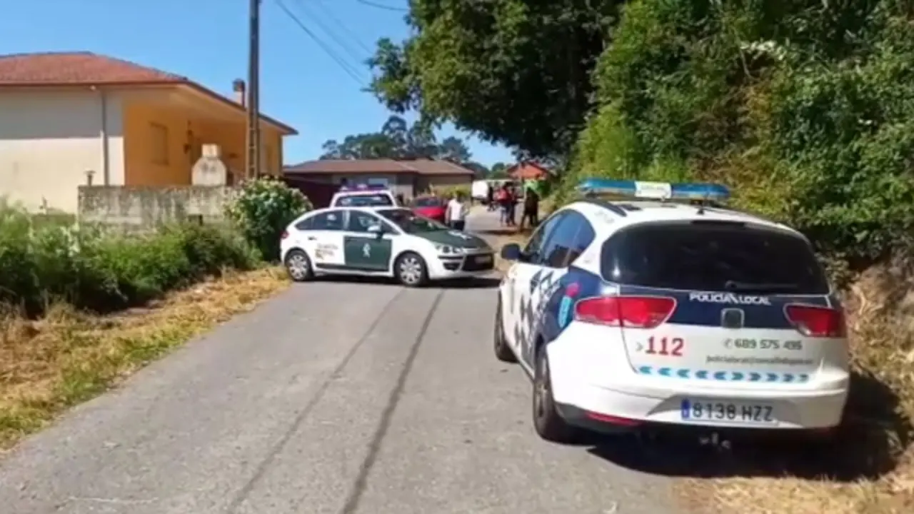 A leira de Poio na que se produciu en ataque das velutinas. DP