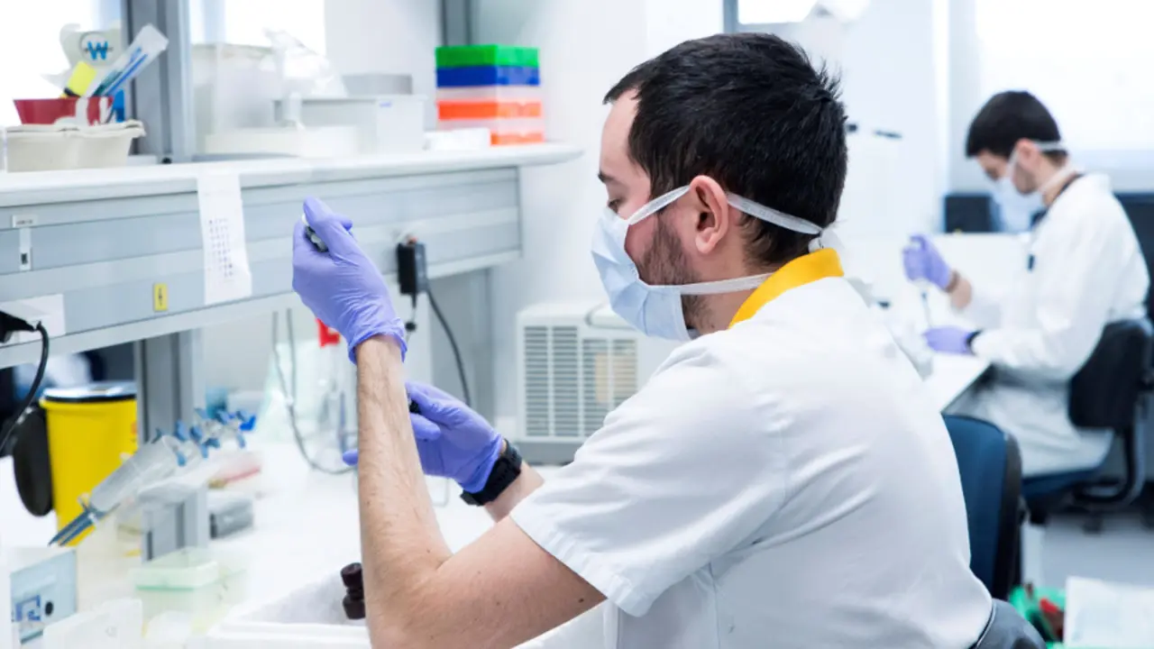 Trabajos de investigación sobre el coronavirus. EFE