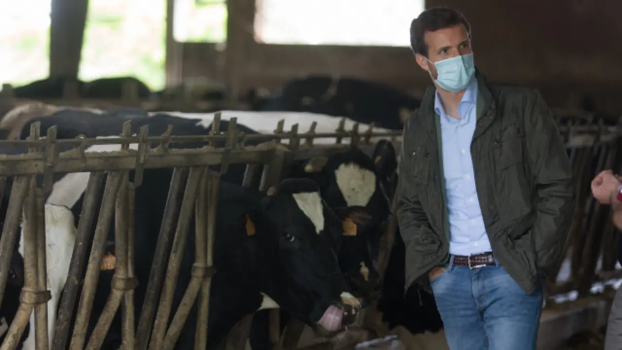 Generated by  IJG JPEG Library