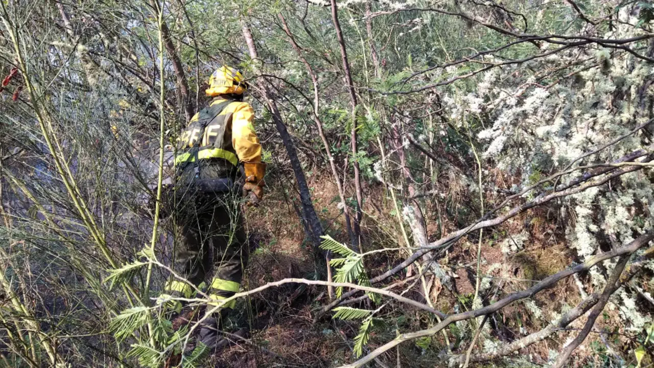Un operario no incendio de Verín. AT_BRIF