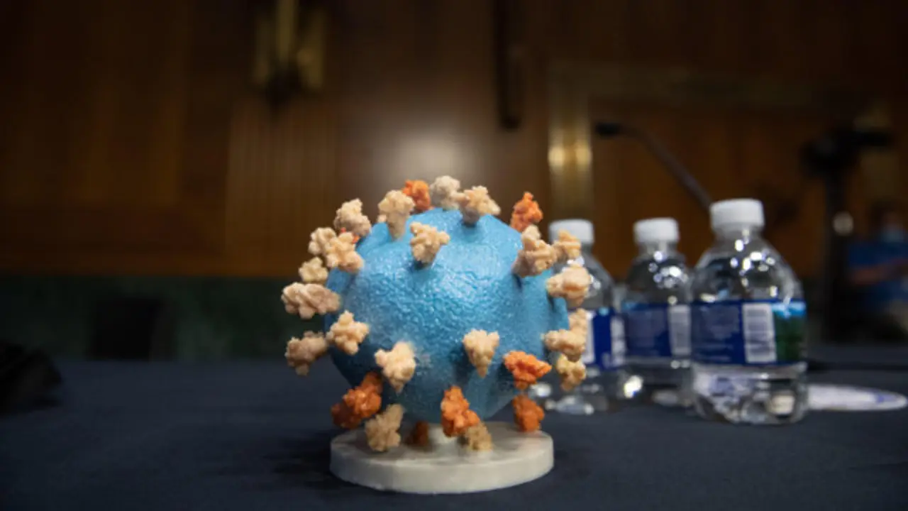 Unha maqueta do coronavirus.SAUL LOEB