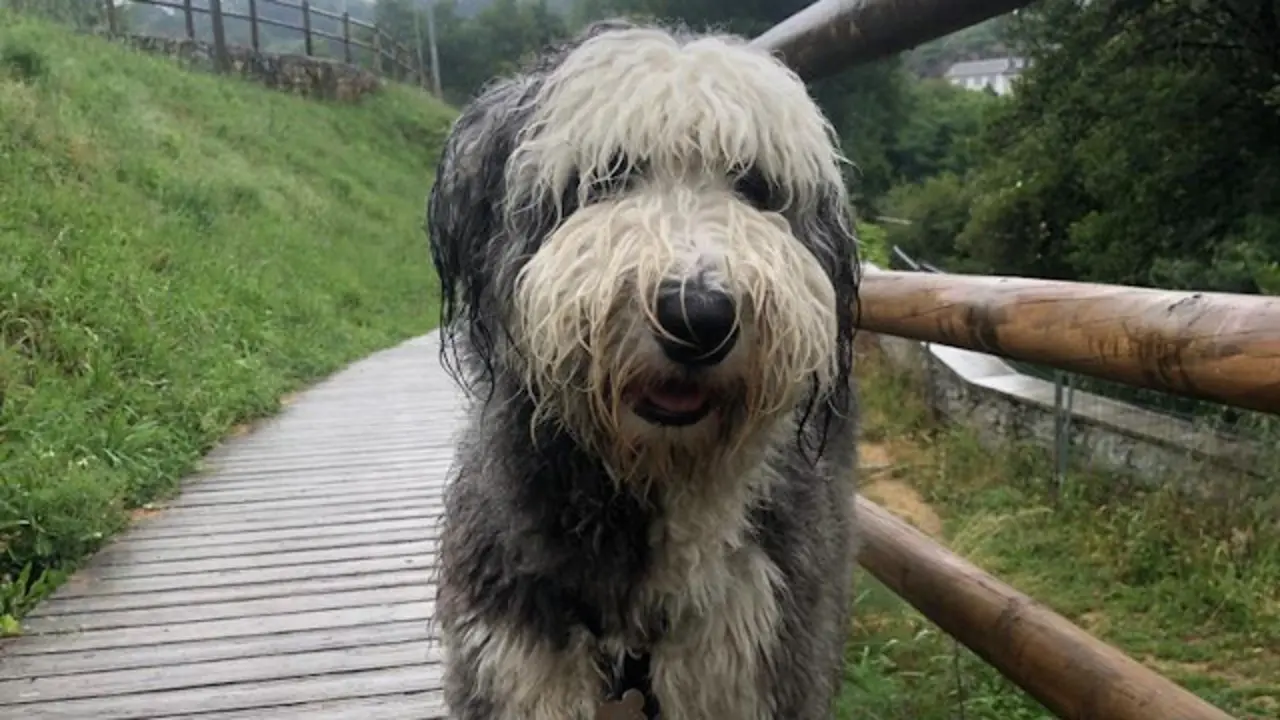 fbb15ca6-c592-43e1-8d31-8f58f5cd0621