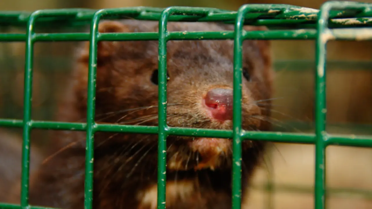 Generated by  IJG JPEG Library