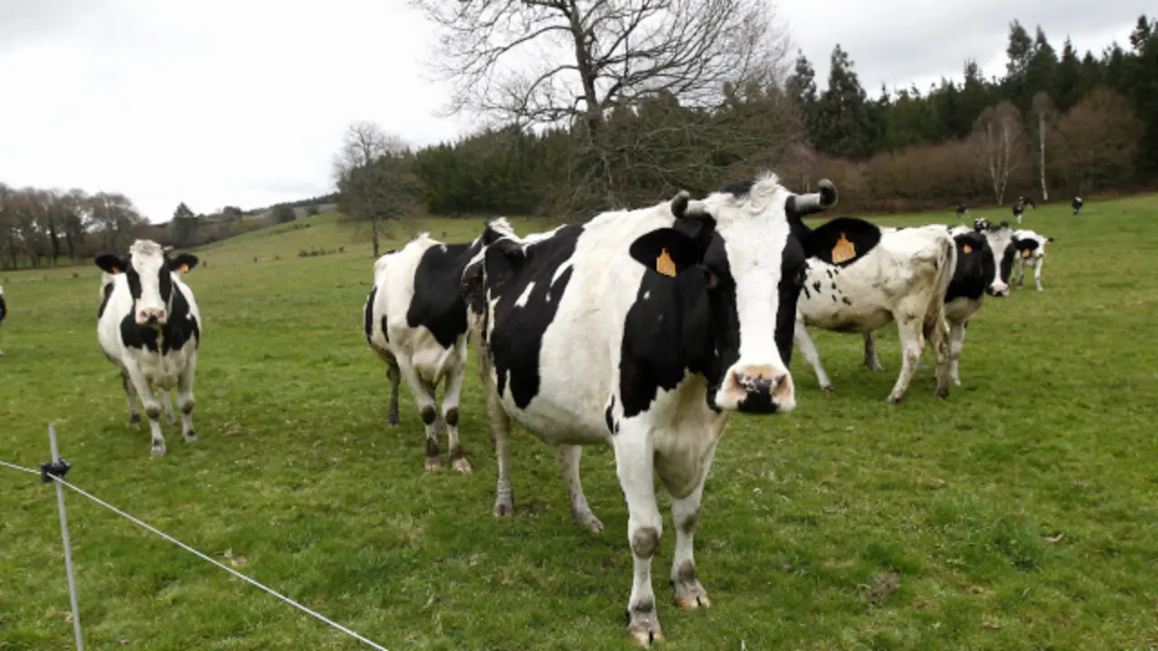 Generated by  IJG JPEG Library
Generated by  IJG JPEG Library
Generated by  IJG JPEG Library
AppleMark
