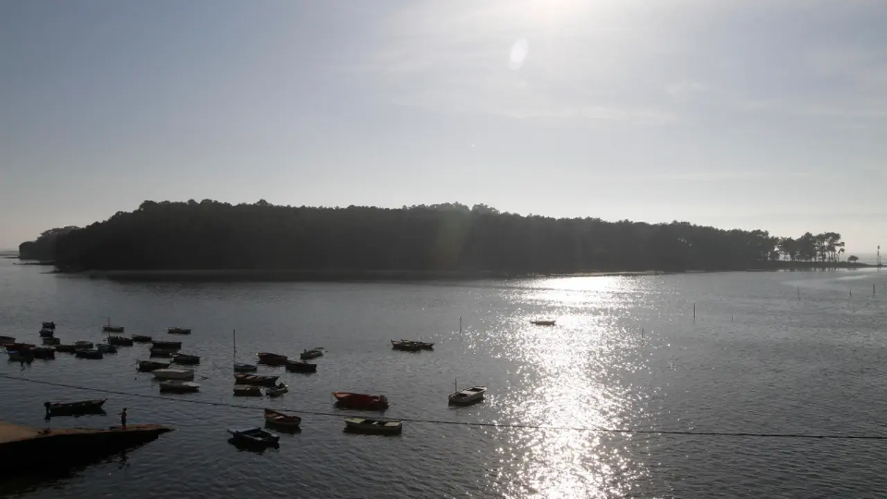 Vista de la Illa de Cortegada. ADP