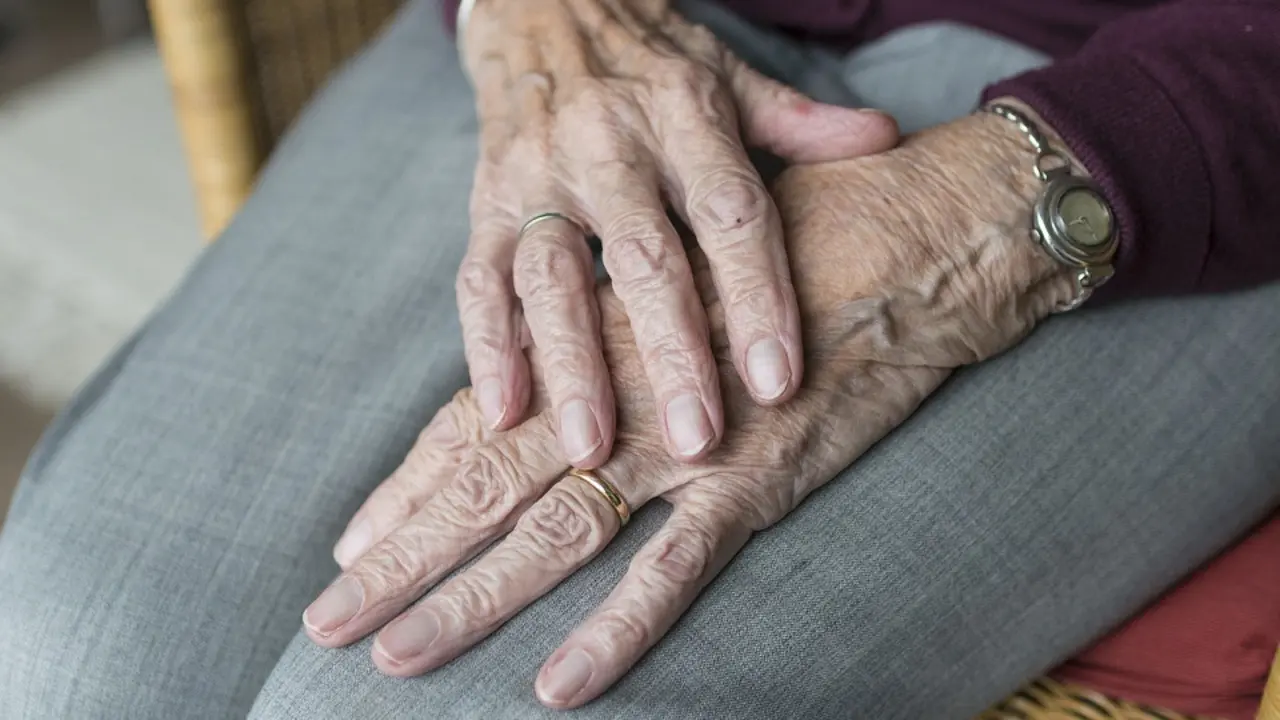 Manos de una persona mayor. PIXABAY