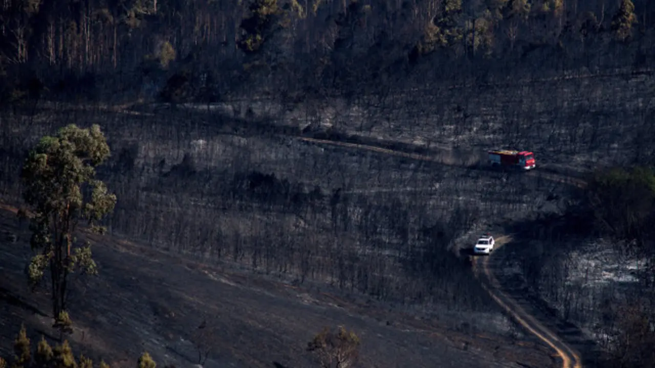 Zona arrasada polas lpas en Verín. BRAIS LORENZO (Efe)