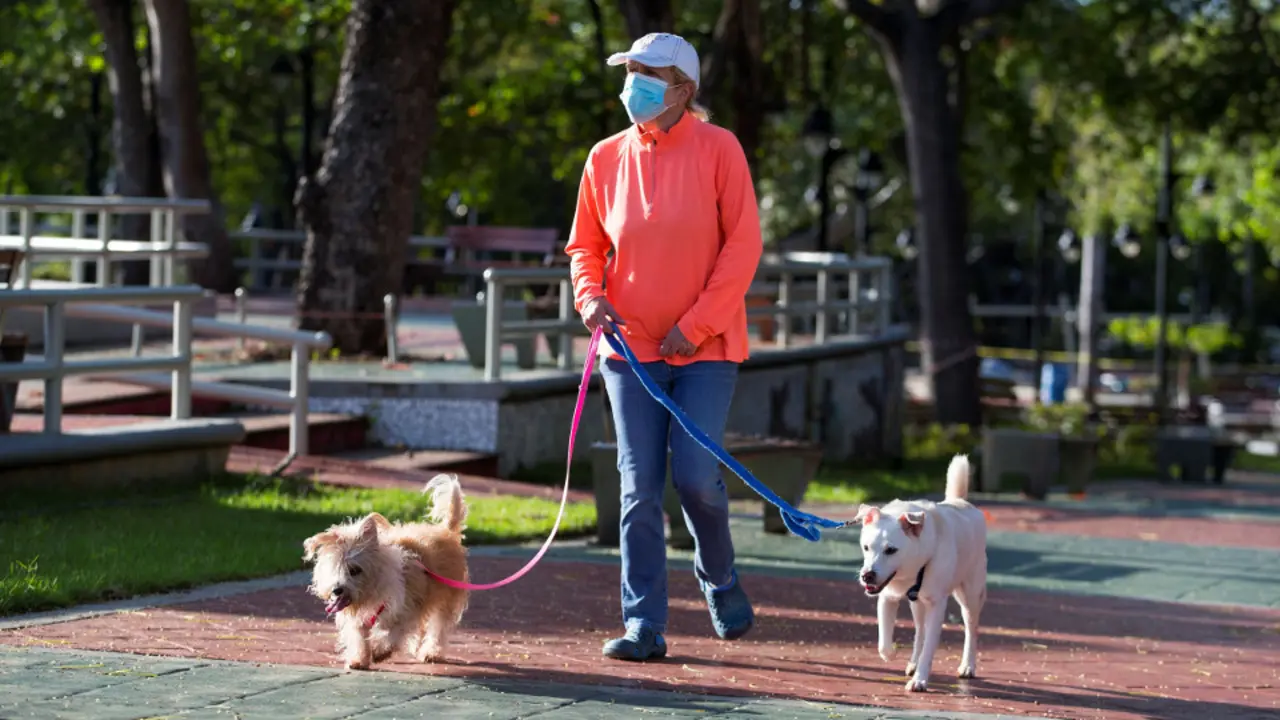 Una mujer paseando a dos perros con mascarilla. EFE