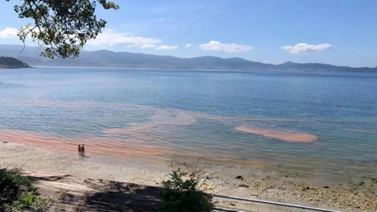 Aspecto da praia de Nan&iacute;n este domingo. CONCELLO DE SANXENXO