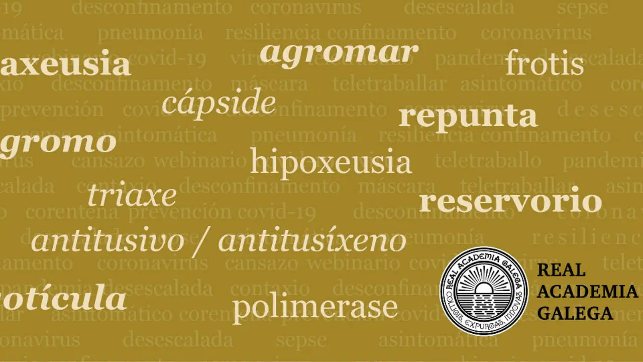 Novas entradas do dicionario da Real Academia Galega. RAG