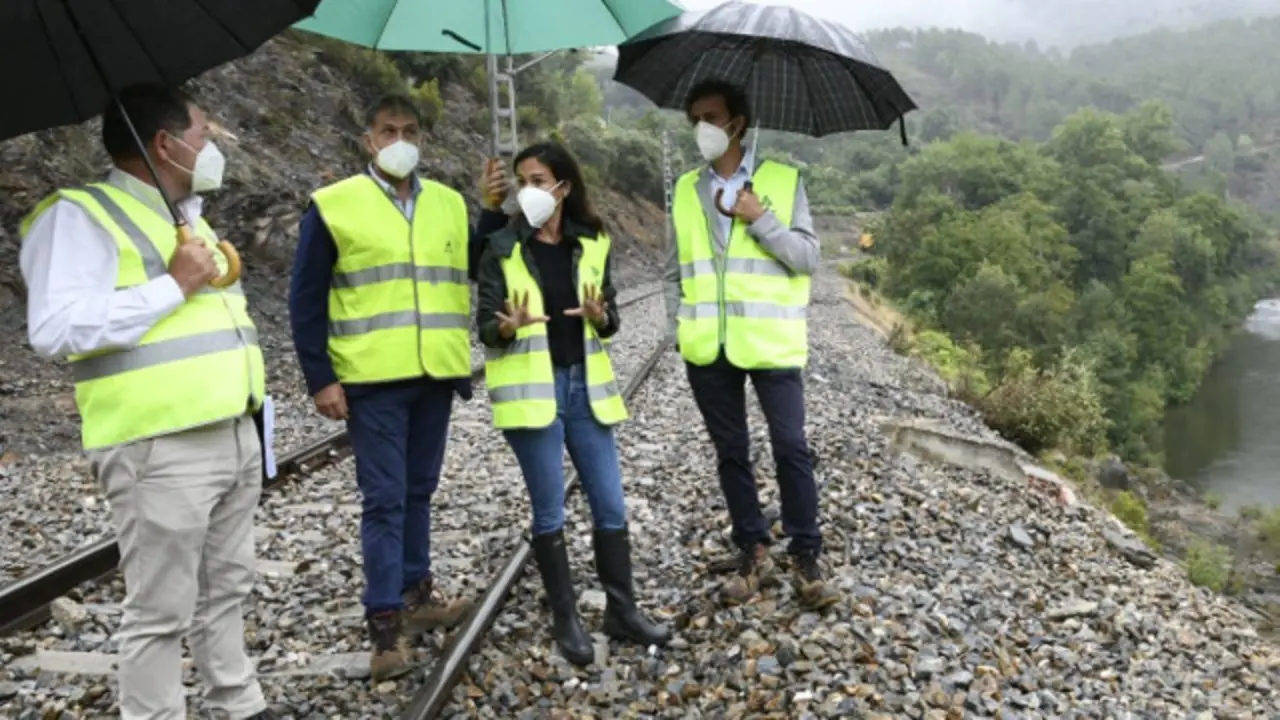 Pardo de Vera, en Sobradelo. EP