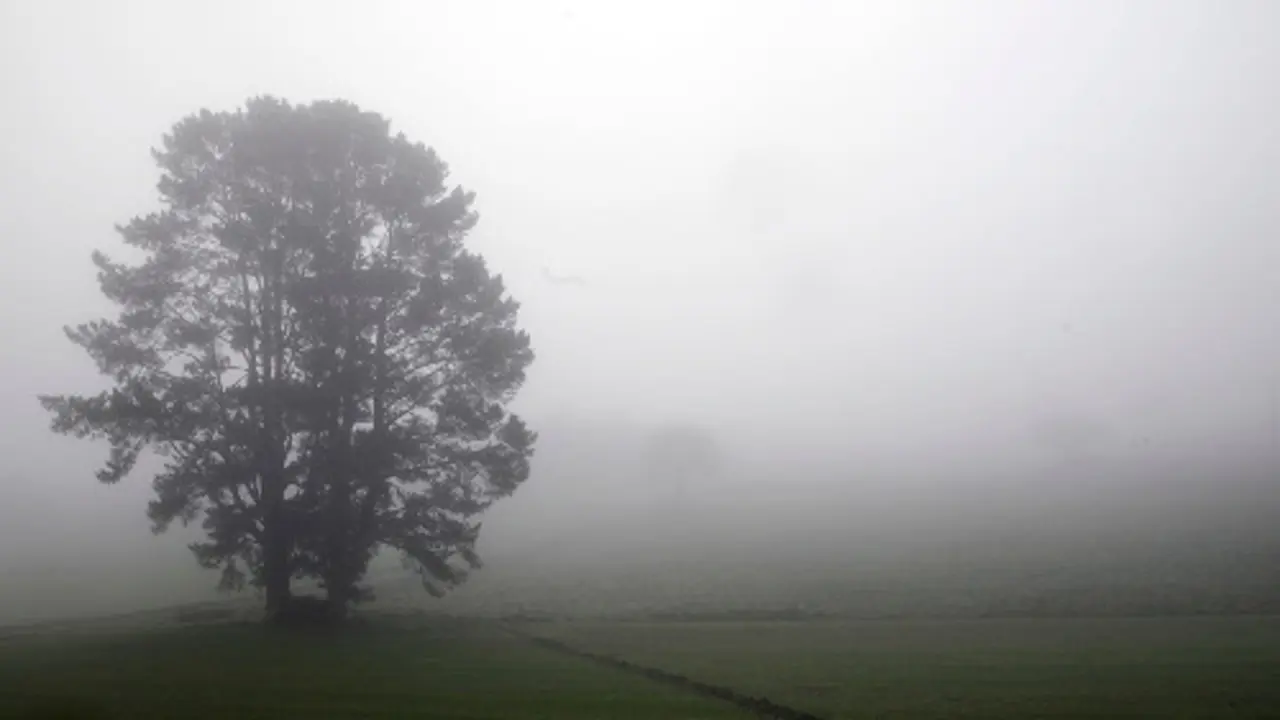 Paisaxe con néboa en Boimorto, A Coruña. Pepe Ferrín/AGN