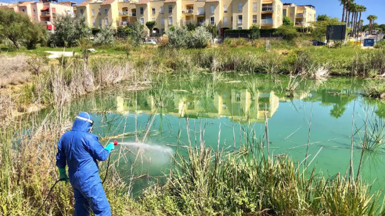 Trabajos de fumigación para prevenir el virus del Nilo. EFE