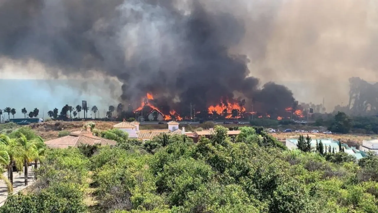 Lapas no centro turístico de Estepona. EUROPA PRESS