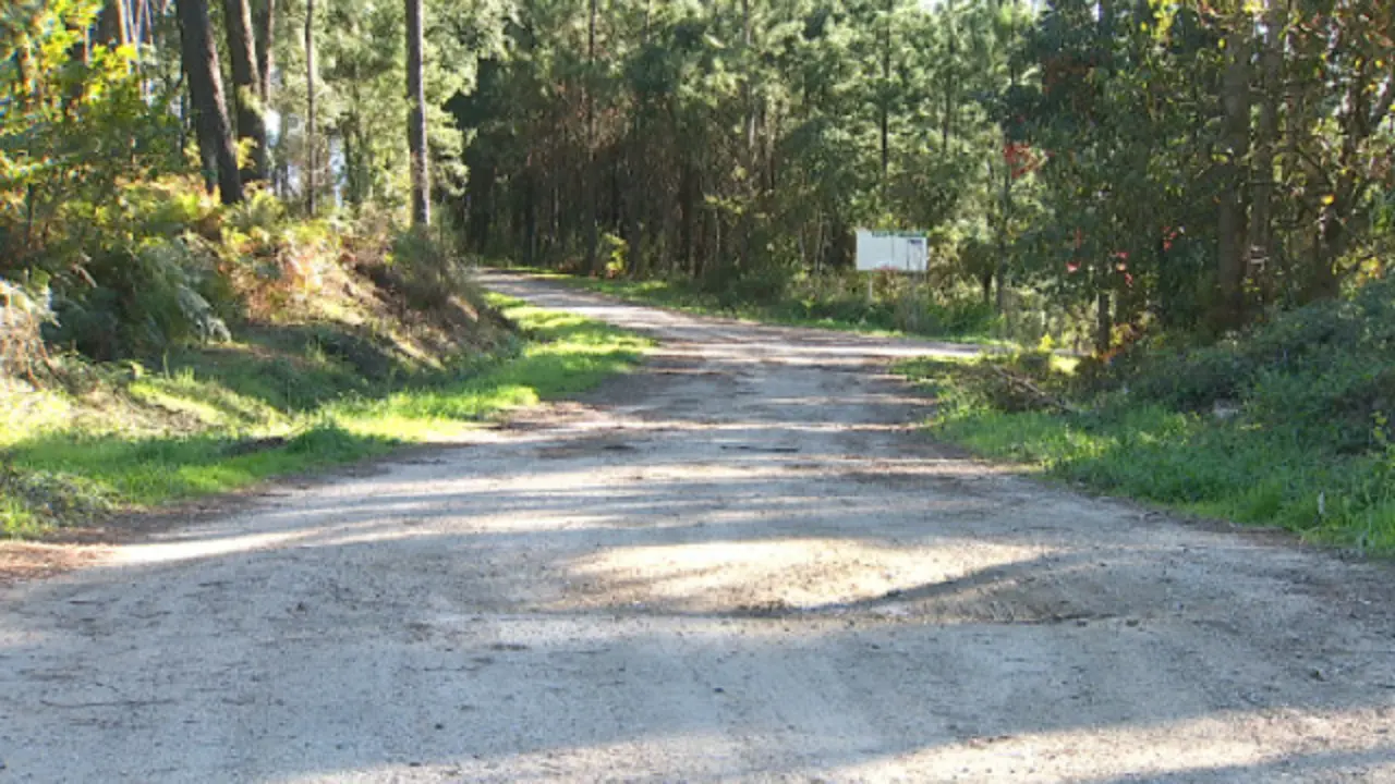 Pista forestal de Monte Xiabre. TVG
