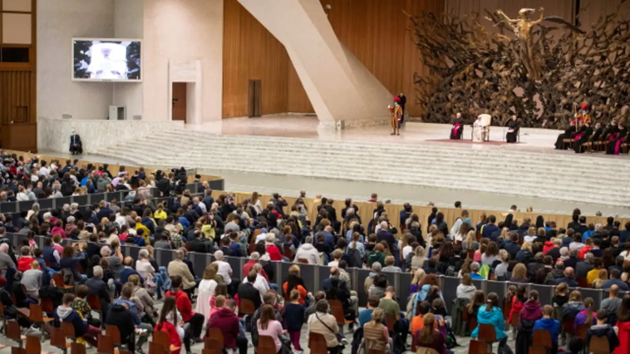 O Papa Francisco na audiencia. EFE
