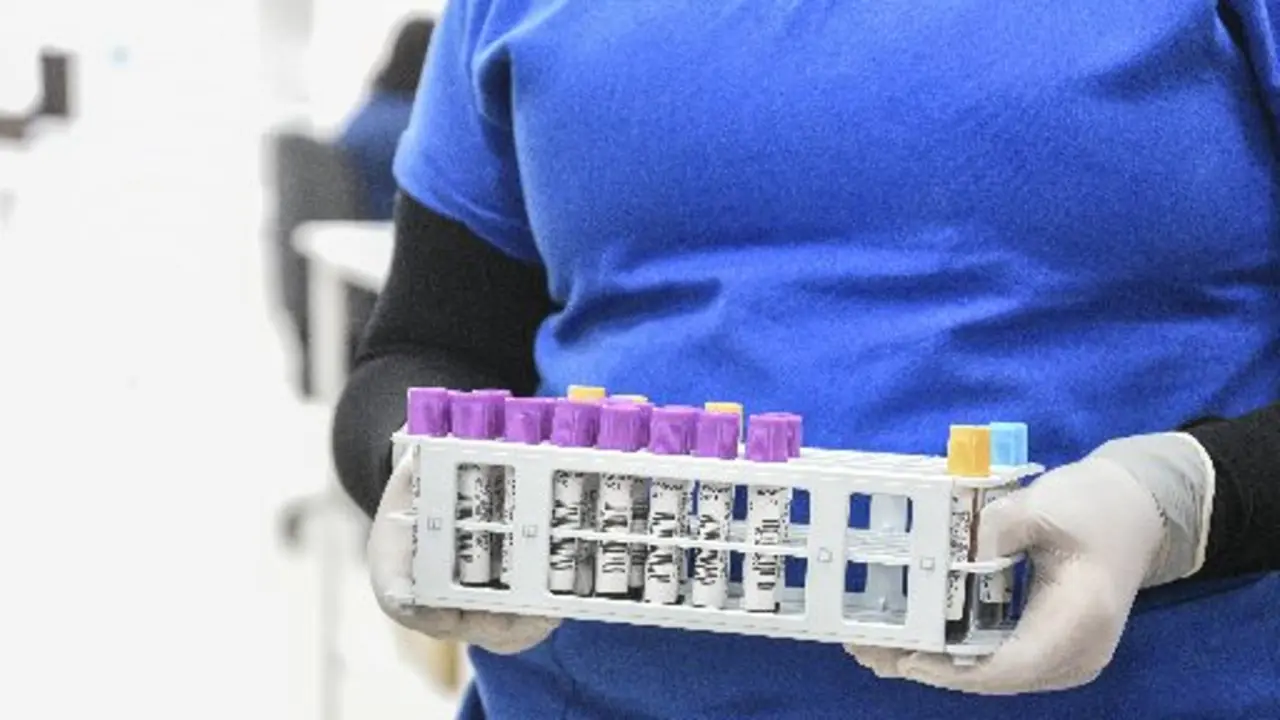 Los anticuerpos protegen durante 7 meses. EFE