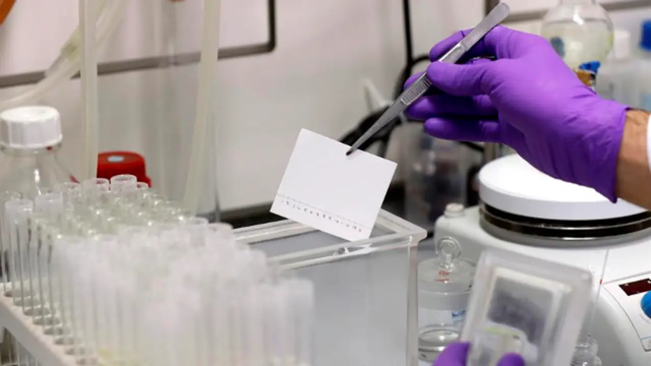 Técnicos de laboratorio traballan na empresa PharmaMar. EFE