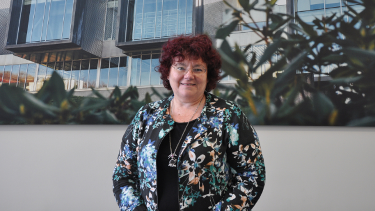 África González. UNIVERSIDADE DE VIGO