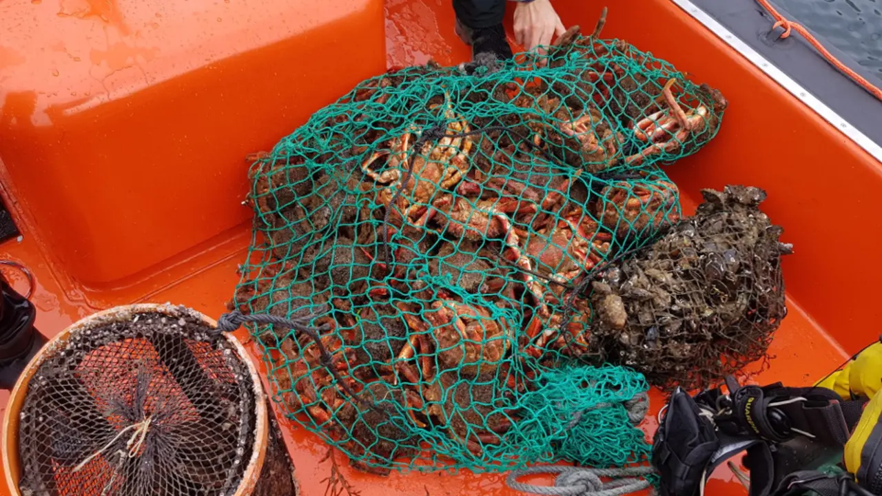 Matarial incautado. GARDACOSTAS