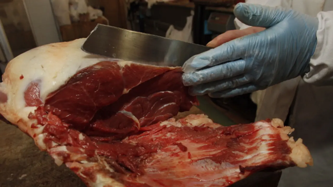 Carne de potro. ARCHIVO