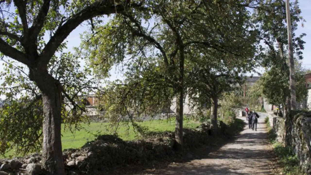 El Camino en A Pena, Paradela. MITMA