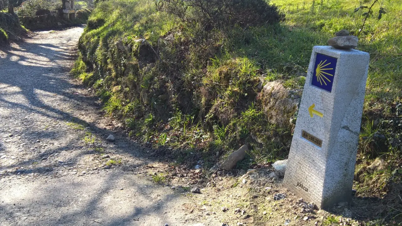 Unha mouteira do Camiño de Santiago. AEP