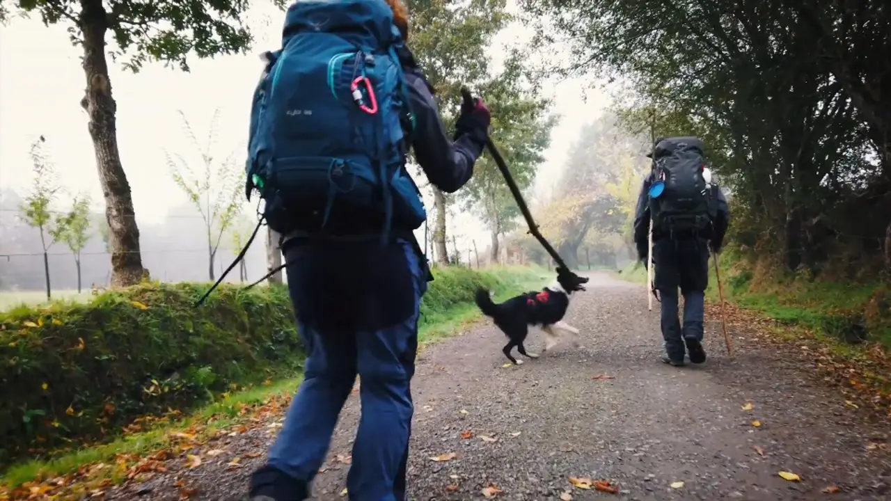 Dous peregrinos, nun momento do documental. XUNTA