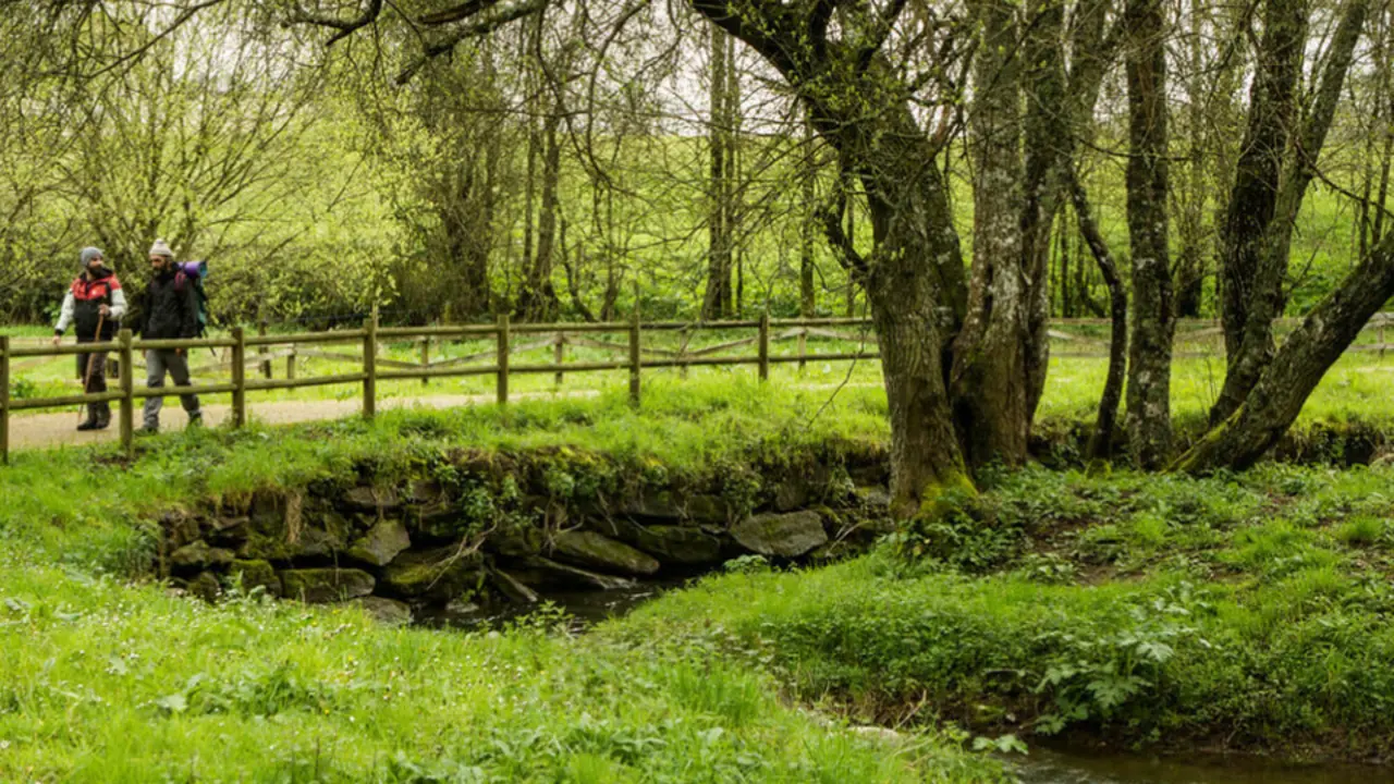 Un tramo da Vía da Prata ao seu paso por Dozón. TURISMO RÍAS BAIXAS