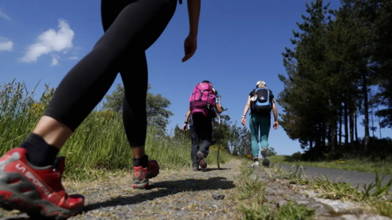 Peregrinos en el Camino Francés. XESÚS PONTE