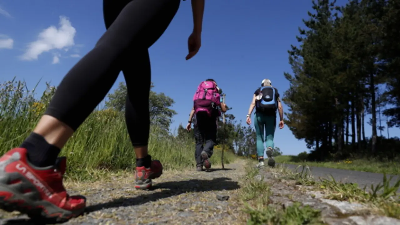 Peregrinos en el Camino francés. XESÚS PONTE