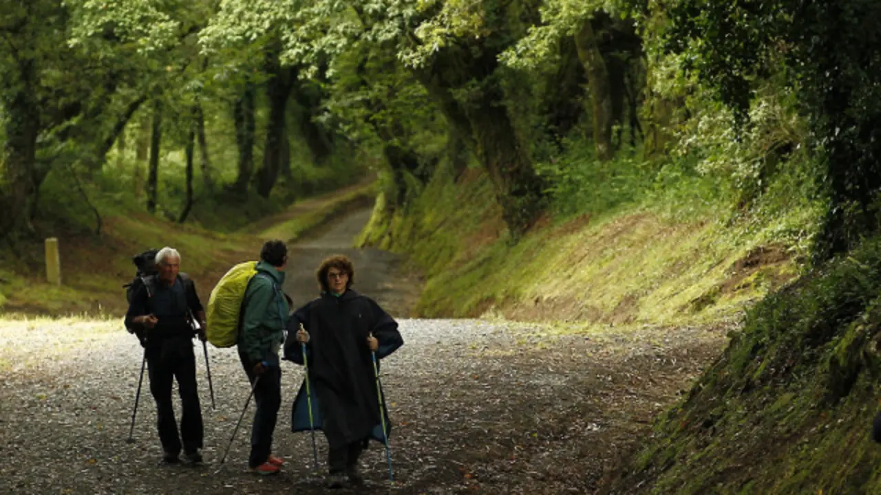 Peregrinos en la etapa de Palas a Melide. ELISEO TRIGO (Efe)