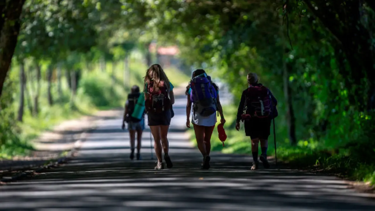 Peregrinos, en el camino. ELISEO TRIGO (Efe)