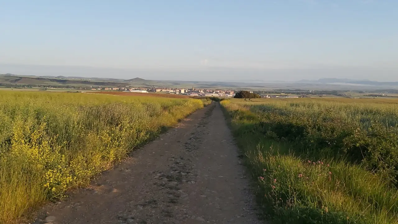 Vista del Camino con Santo Domingo de la Calzada al fondo. J.L.