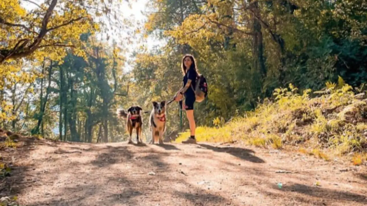 Perregrinos. ELCAMINOPERREGRINO