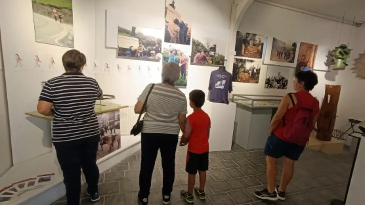 Una parte del interior de la exposición .  TANIS