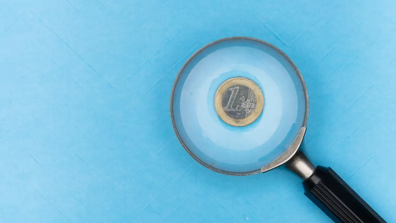 dinero euro lupa