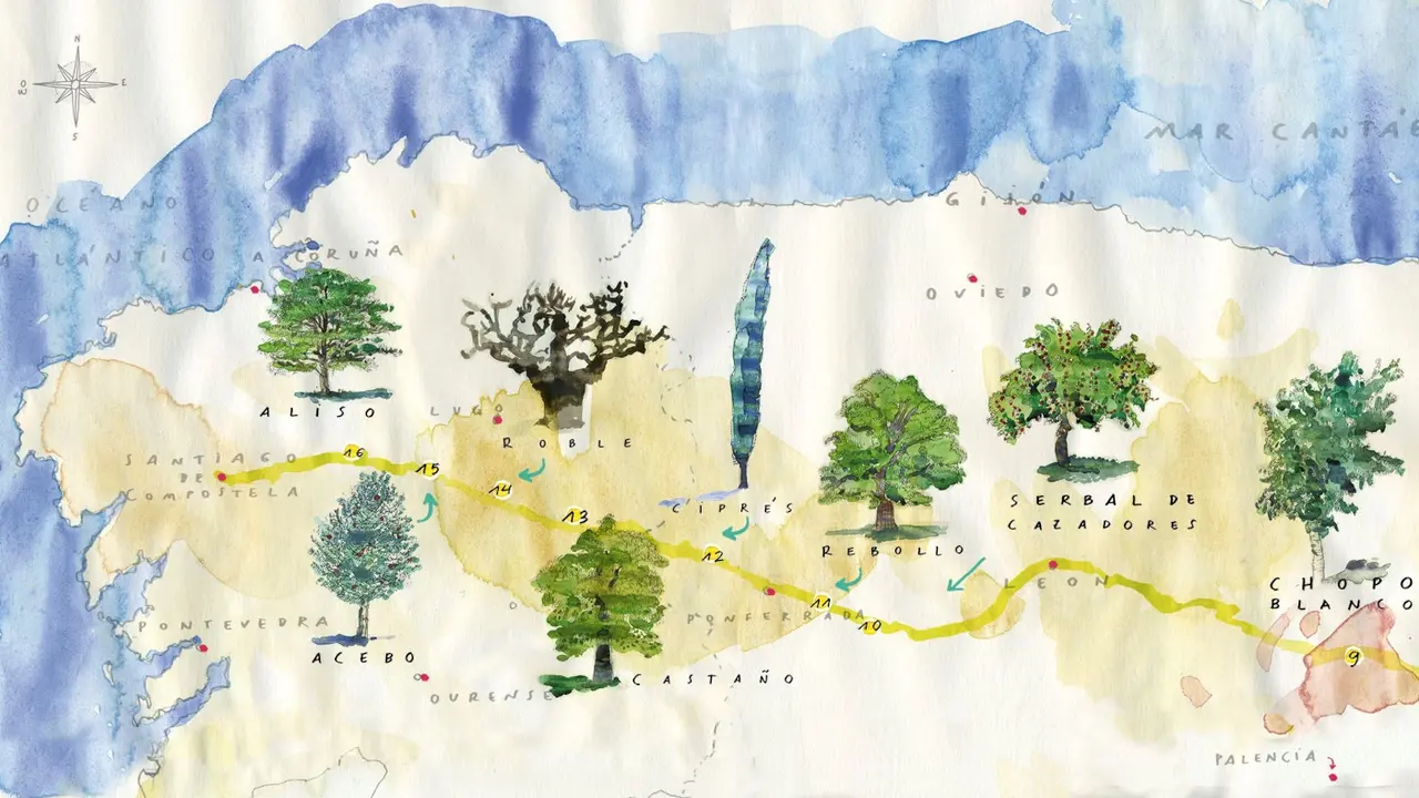 Guía ilustrada de árboles. CORREOS