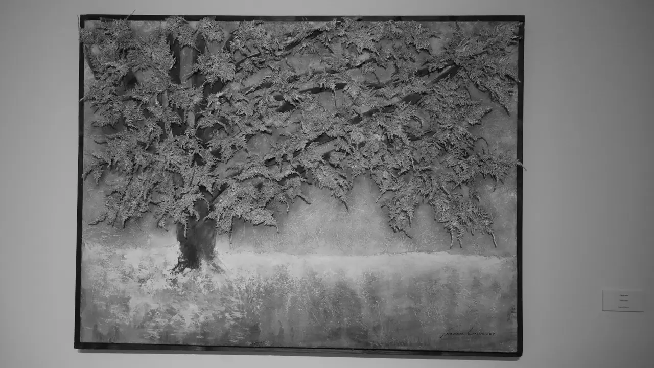 Unha obra de Carmen Domínguez. DAVID FREIRE