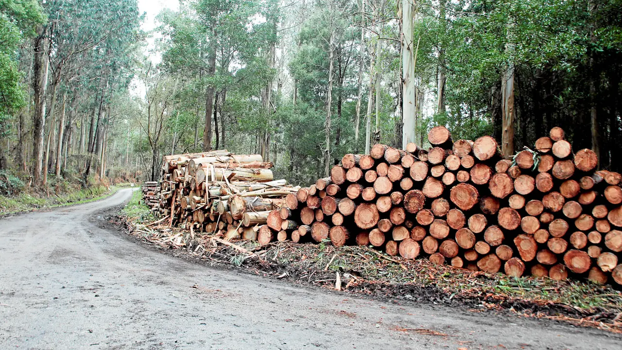 Generated by  IJG JPEG Library
Generated by  IJG JPEG Library