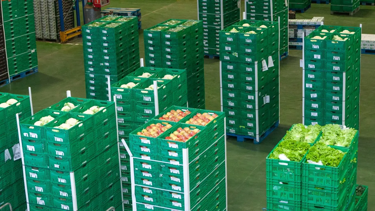 Hortalizas y frutas que Gadisa adquiere a proveedores de proximidad.GADISA